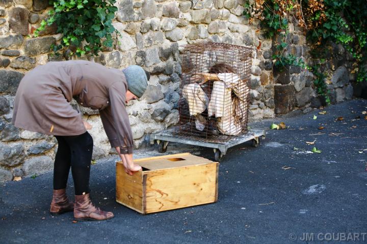 Diapositive suivante